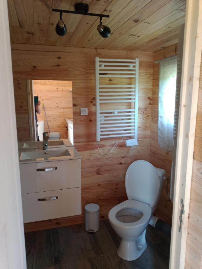 Chalet Au Calme Coullons Eksteriør bilde